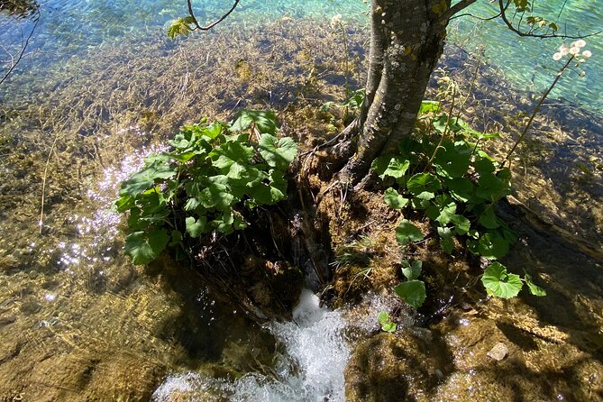 Plitvice Private Tour Driver + Guide up to 8 Ppl From Zadar - Booking Information