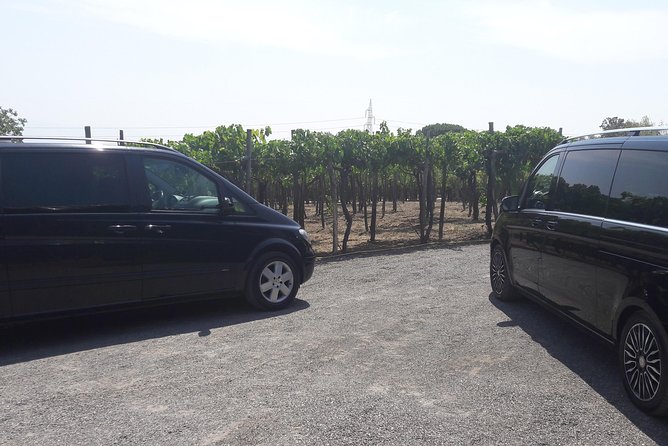 Pompeii Amalfi Coast Experience Private Tour - Local Expert Guidance