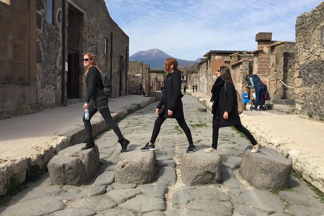 Pompeii Excavations: Skip-The-Line Private Tour - Accessibility