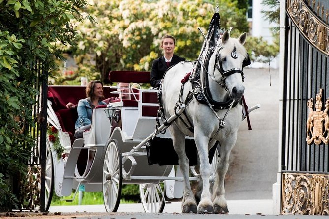 Premier Horse-Drawn Carriage Experience in Victoria - Tour Inclusions and Amenities