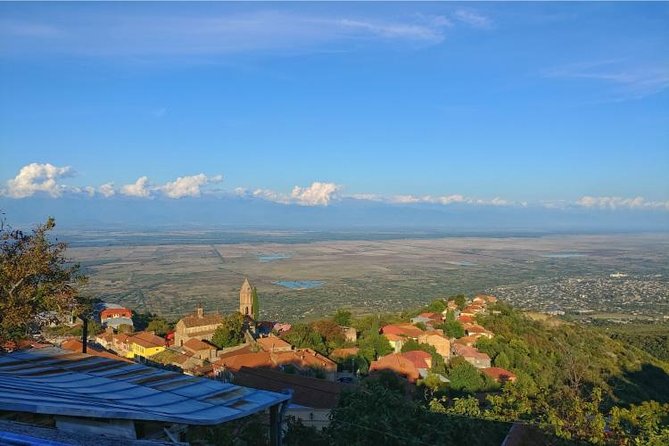 Premium & Organic Wine Tour in Kakheti - Booking Information