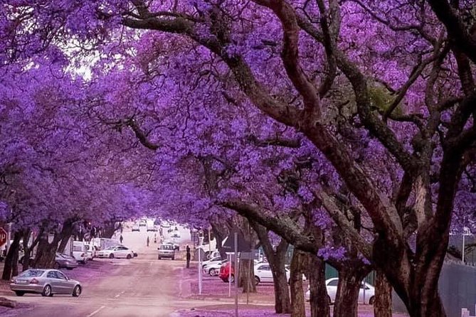 Pretoria City Guided Day Tour - Inclusions and Amenities