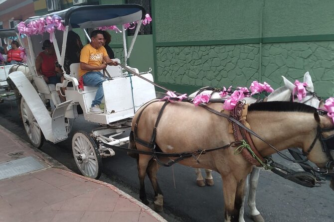 Private 1-Day Tour To Nicaragua From Flamingo Guanacaste - Departure and Border Crossing