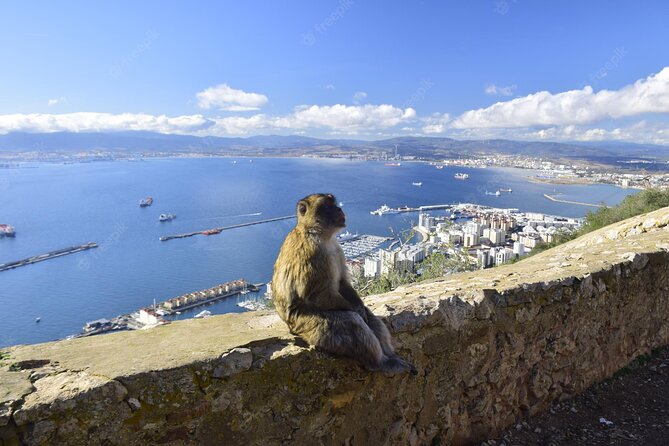 Private 10-Hours Tour of Gibraltar From Cadiz - About the Tour Operator