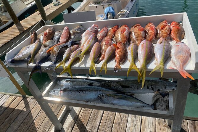 Private 3/4 Day 6hr Fish, Snorkel & Cruise Charter on Shady Grady - Booking Information