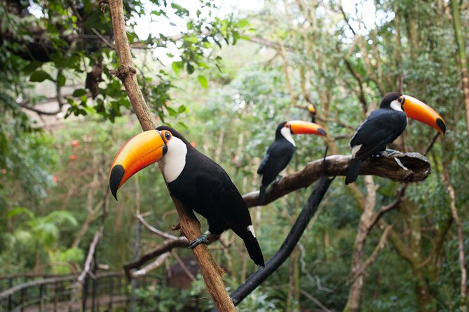 Private 3-Day Iguazu Falls Tour - Pickup Information