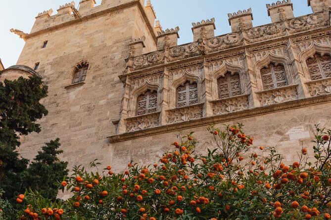 Private 3 Hours Walking Tour in Valencia City - Customer Reviews