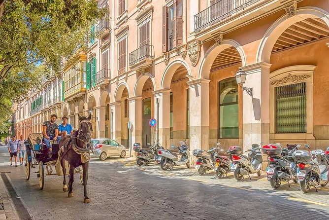 Private 4-Hour Tour of Palma De Mallorca W/ Driver & Guide (Hotel/Port Pick Up) - Cruise Ship Guests