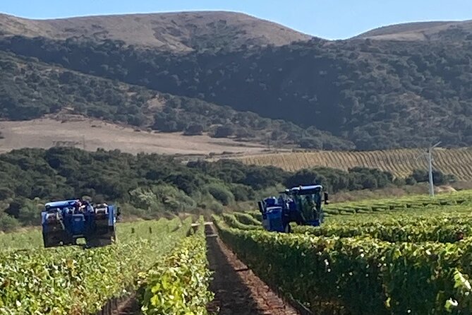 Private 6 Hour Wine Tour of the Santa Ynez Valley - Pricing Options