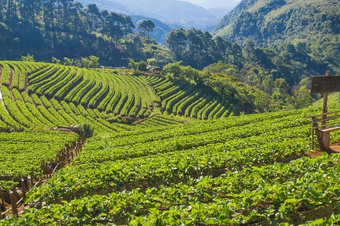 Private 8-Day Costa Rica Luxury Tour - Health and Safety Considerations