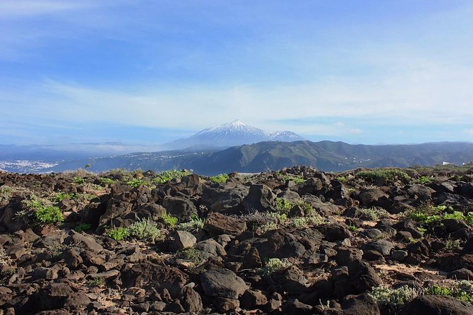 Private 8-Hour Shore Excursion to El Teide + Cable Car With Guide and Driver - Accessibility and Participation