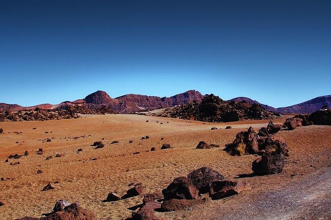 Private 8 Hours Tour to El Teide From Tenerife Hotel With Driver/Guide - Whats Included in the Tour