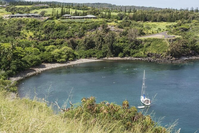 Private and Personalized Scuba Diving Adventures for All Experience Levels - Exploring Mauis Vibrant Marine Ecosystem