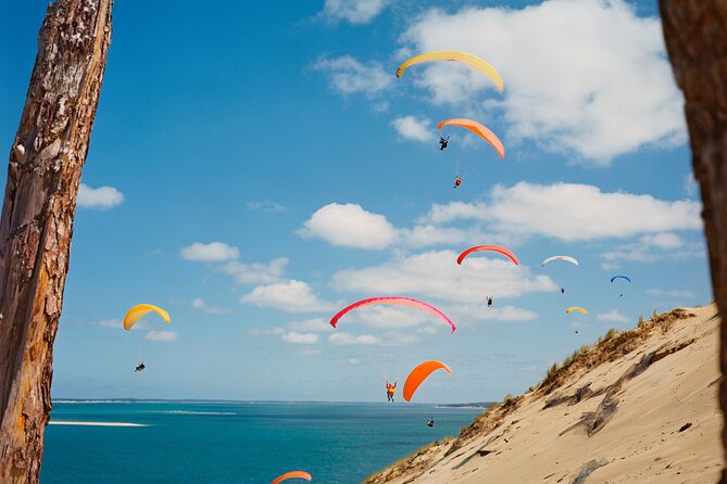 Private Arcachon Full-Day Tour, From Bordeaux - What to Expect During the Tour