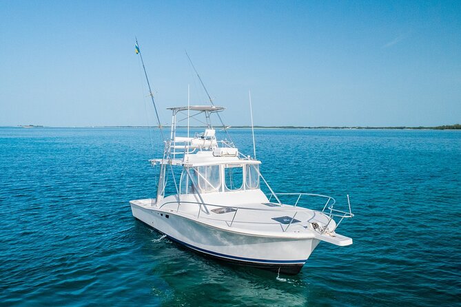 Private Bahamas Half-Day Fishing Tour From New Providence - Tour Details