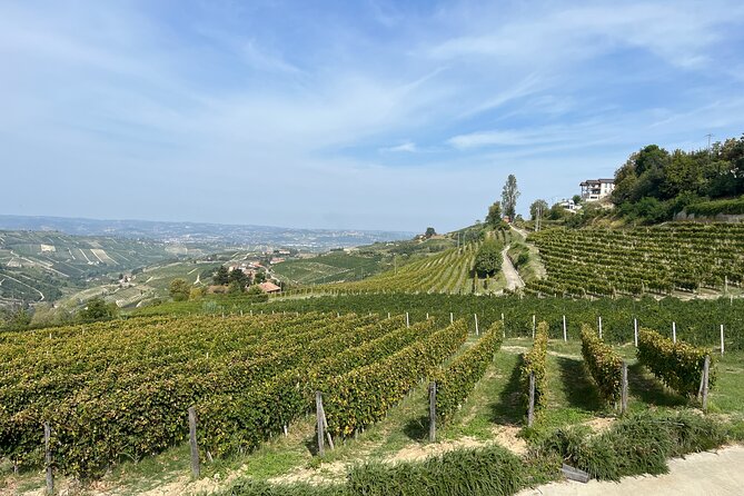 Private Barolo Wine Tour With Winemaker From Turin - Transportation Details