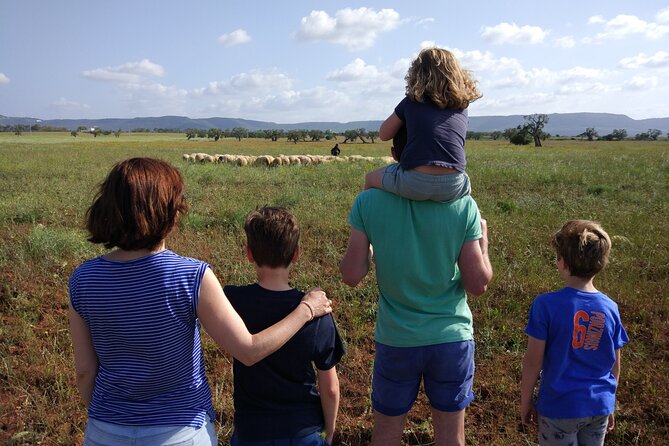 Private Bike Tour With Olive Oil Tasting - Booking Information