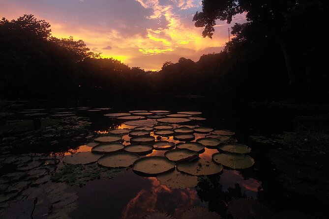 Private Bird Watching Experience in Los Chocuacos - Frequently Asked Questions