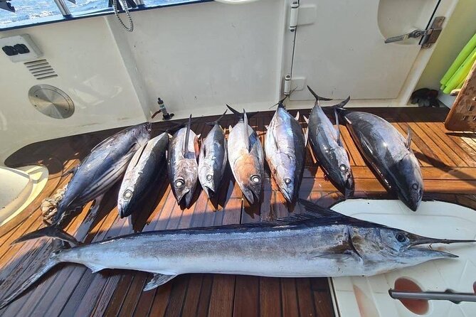 Private Boat and Fishing Tours in Greek Islands - Accessibility and Participation