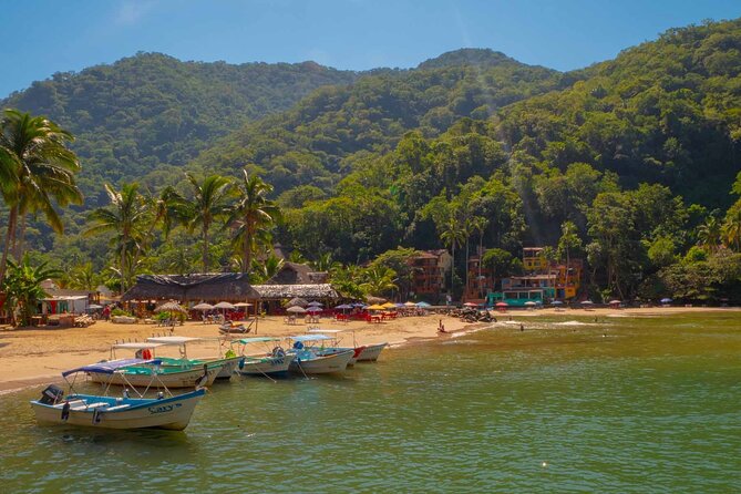 Private Boat Tour to Yelapa With Snorkeling and Waterfall Hike - Meeting Details