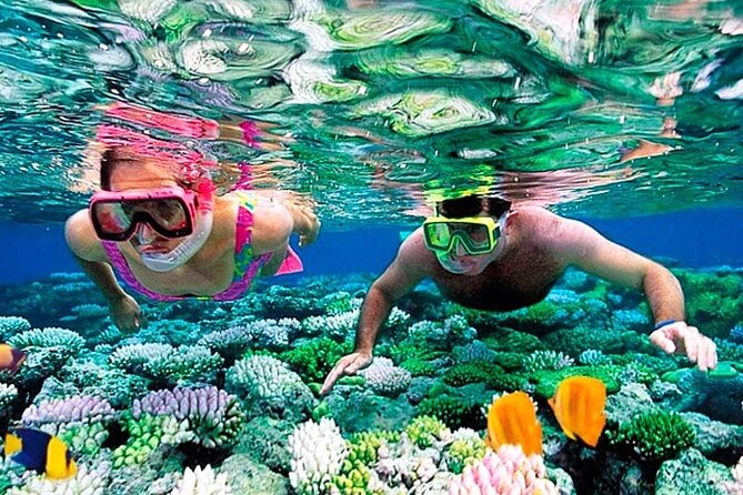 Private Boat Trip From Hurghada Makadi Sahl Hashesh Soma Bay Safaga Al Gouna - What to Bring and Prepare For