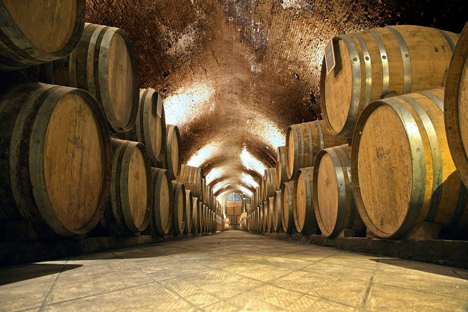 Private Chianti and Supertuscan Tour 2 Wineries With Light Lunch From Livorno - Winery Tours and Cheese Making