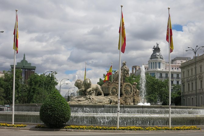 Private Christmas Lights & Panoramic Madrid Review - Customer Reviews