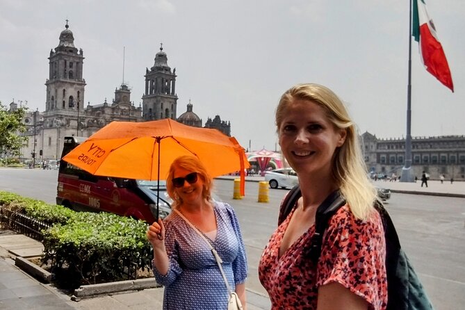 Private City Tour Mexico City - Accessibility Features