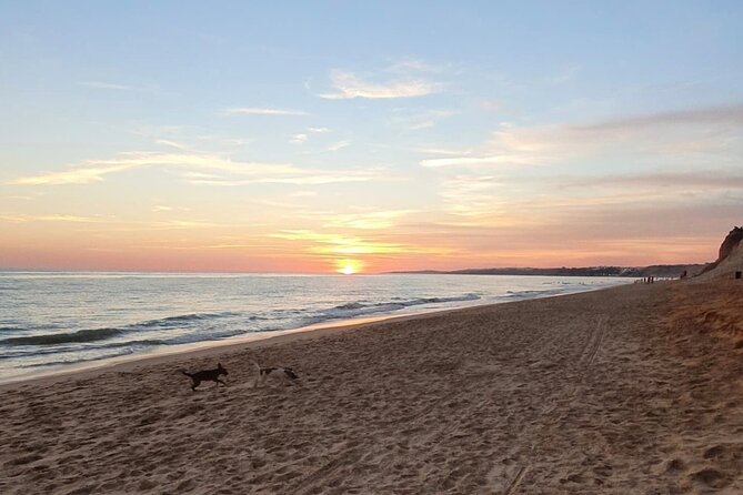 Private City Tour of Albufeira - Health and Safety Recommendations