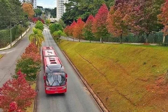 Private City Tour - Top Postcards From Curitiba by Pinheiro Turismo - Customer Feedback and Ratings