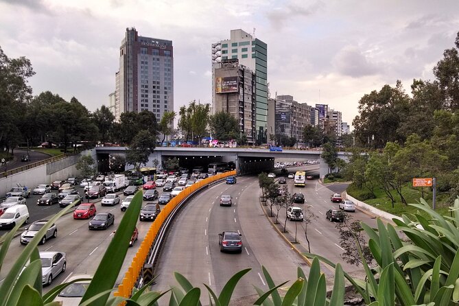 Private Contrasts of Mexico City Neighborhoods Tour - Operator Information