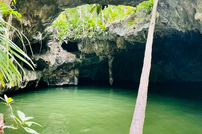Private Cozumel Jeep Tour & Jade Caverns Cenote: All-Inclusive - Accessibility and Special Requirements