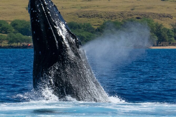 Private Custom Charter in Kawaihae - Start Time and Duration