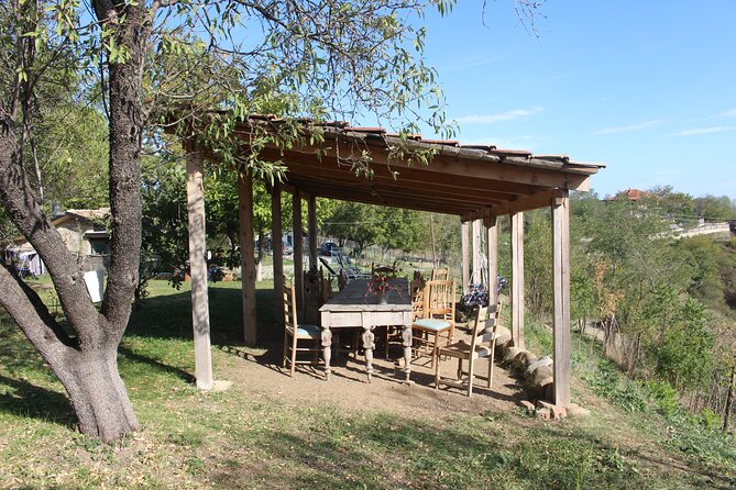 Private Day Horse Riding Trip to Sighnaghi With Lunch and Wine/Beer. - Local Georgian Lunch and Drinks
