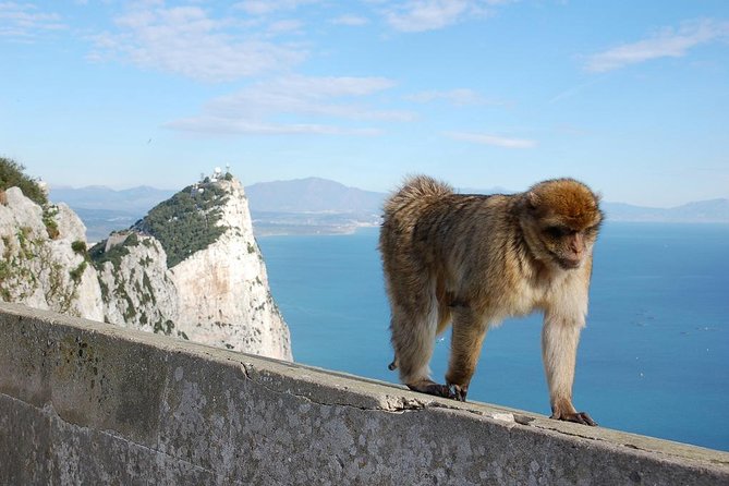 Private Day to Gibraltar From Marbella or Marbella - Meeting and Pickup