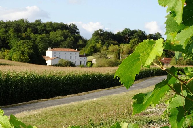 Private Day-Tour From Cognac : Vineyard and Craft Distilleries With Tastings - Expectations for the Tour
