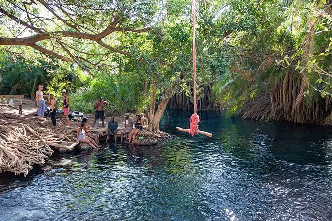 Private Day Tour in Serval Wildlife and Kikuletwa Hot Spring - Tour Inclusions and Highlights