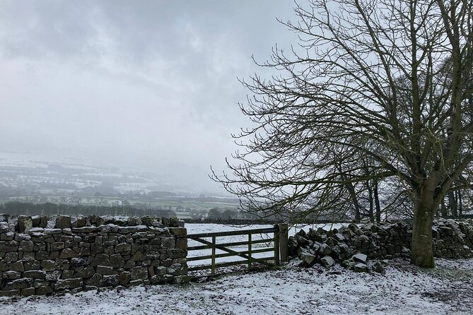Private Day Tour in Yorkshire Dales, Fell, Valley and Castle - Reviews and Ratings