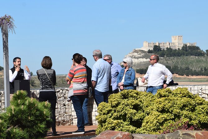 Private Day Tour Ribera Del Duero - Gourmet Lunch Delight