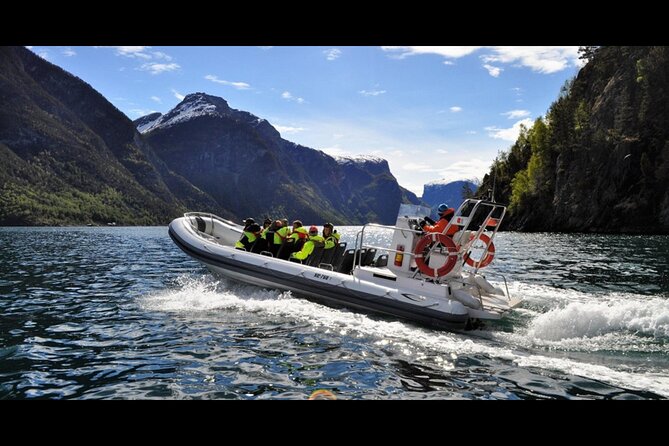 Private Day Tour to Flåm, Incl RIB Sognefjord Safari Flåm Railway - RIB Sognefjord Safari