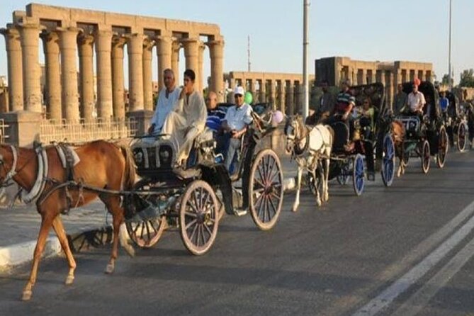 Private Day Tour to Luxor East and West Banks From Hurghada by Private Vehicle - Inclusions and Amenities