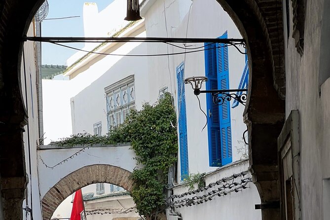 Private Day Tour Tunis Medina Carthage Sidi Bou Said Bardo Museum - Carthage Ruins Exploration
