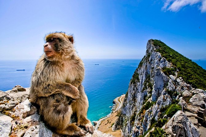 *Private Day Trip* Gibraltar & Bolonia From Cádiz - Private Transportation and Pickup Service