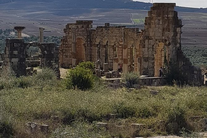 Private Day Trip to Volubilis, Moulay Idriss, and Meknes From Fez (Fes) - Accessibility Information