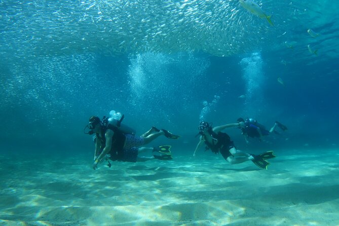 Private Dive Boat for Certified Divers - Cabo San Lucas - Inclusions and Costs