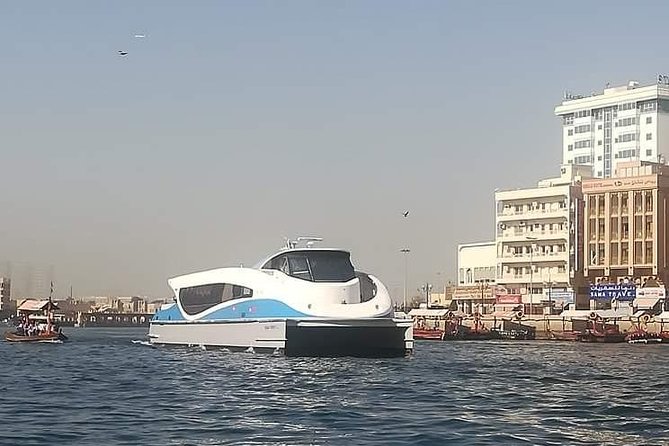 Private : Dubai Full Day City Sightseeing Tour - Accessibility and Pickup
