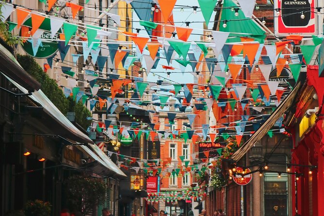 Private Dublin Day Tour - Accessibility