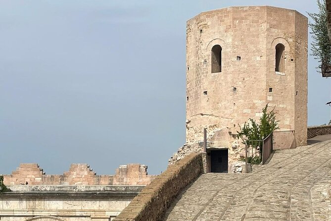 Private E Bike Tour in the Olivata Area Assisi Spello Foligno - Health and Accessibility