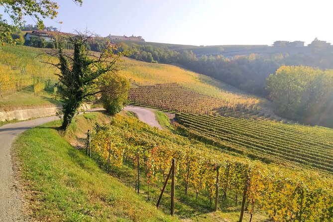 Private E-Bike Tour Langhe Del Barbaresco - Asphalt Only - Travel Logistics and Accessibility