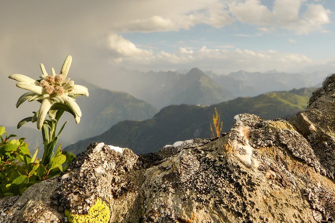 Private Eagles Nest & the Hills Are Alive - Flexible Itinerary and Customization Options